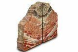 Tall, Arizona Petrified Wood Bookends - Red and White #307175-1